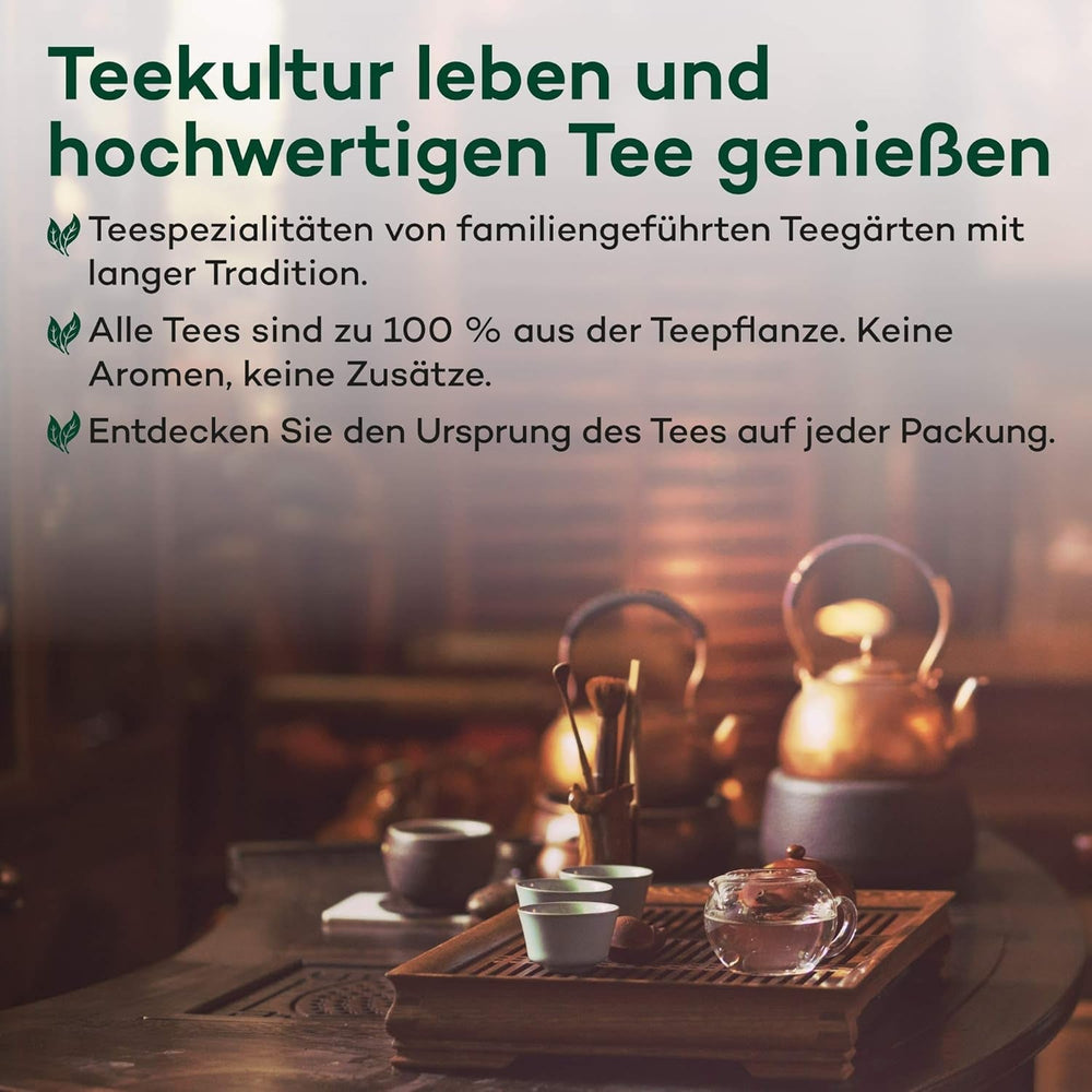 Thé Oolong Tie Guan Yin d'Anxi, Chine | Récolte 2025 | Thé Oolong chinois de haute qualité | Thé chinois premium issu de plantations traditionnelles 100 g