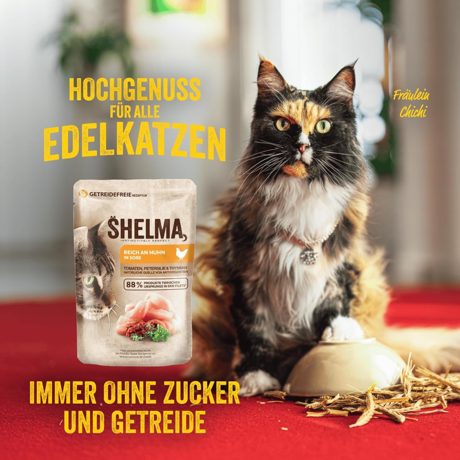 Shelma Nourriture humide pour chats Megapack au bœuf, dinde, poulet et canard - Aliment complet sans céréales à haute teneur en viande - 40 x 85 g (3,4 kg)