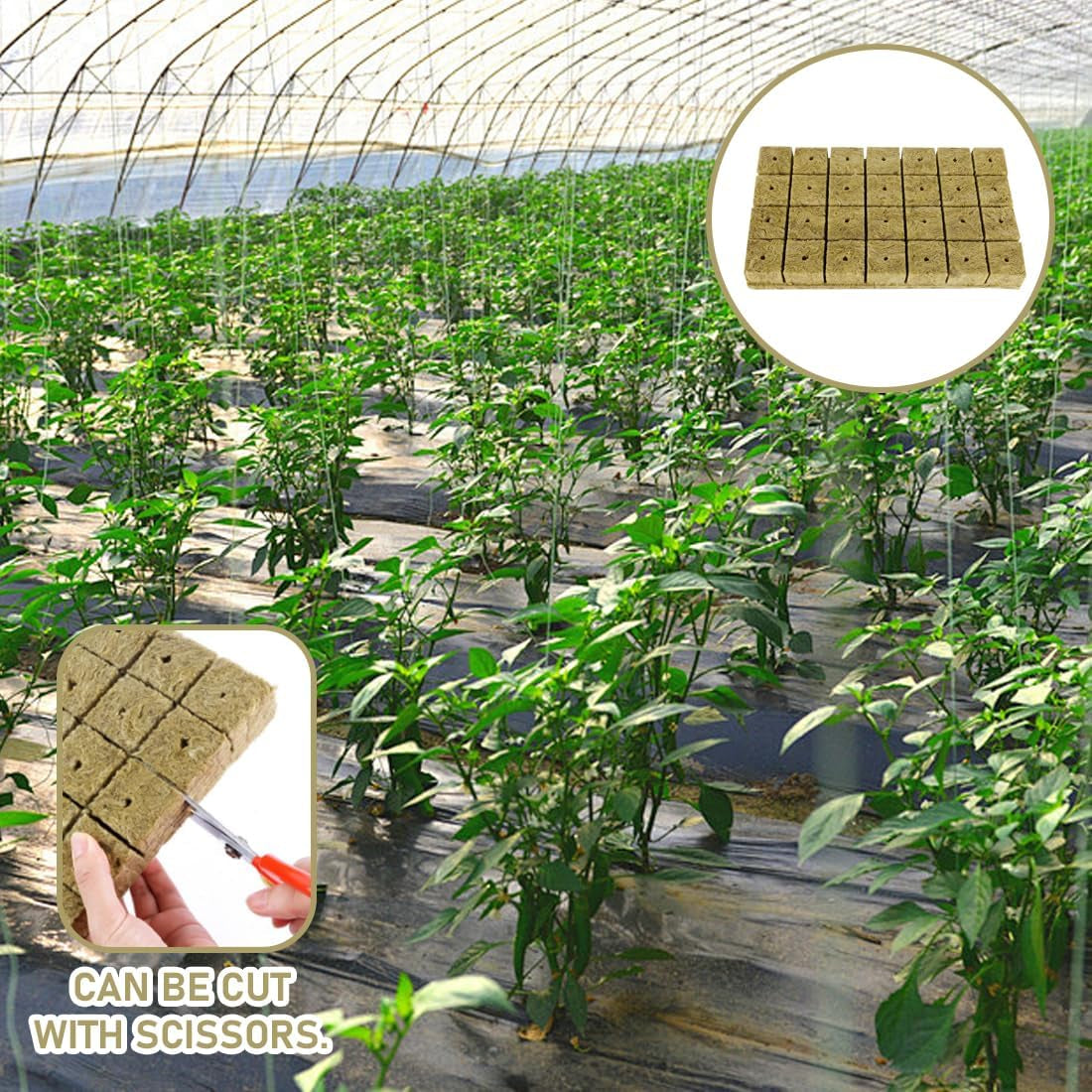 Cubes de semis en laine de roche 28 – Cubes de laine de roche 4 x 4 x 4 cm – Cubes de semis, cubes de laine de roche, systèmes de semis hydroponiques/plantes clonées/projets scolaires, culture de semis sans terre