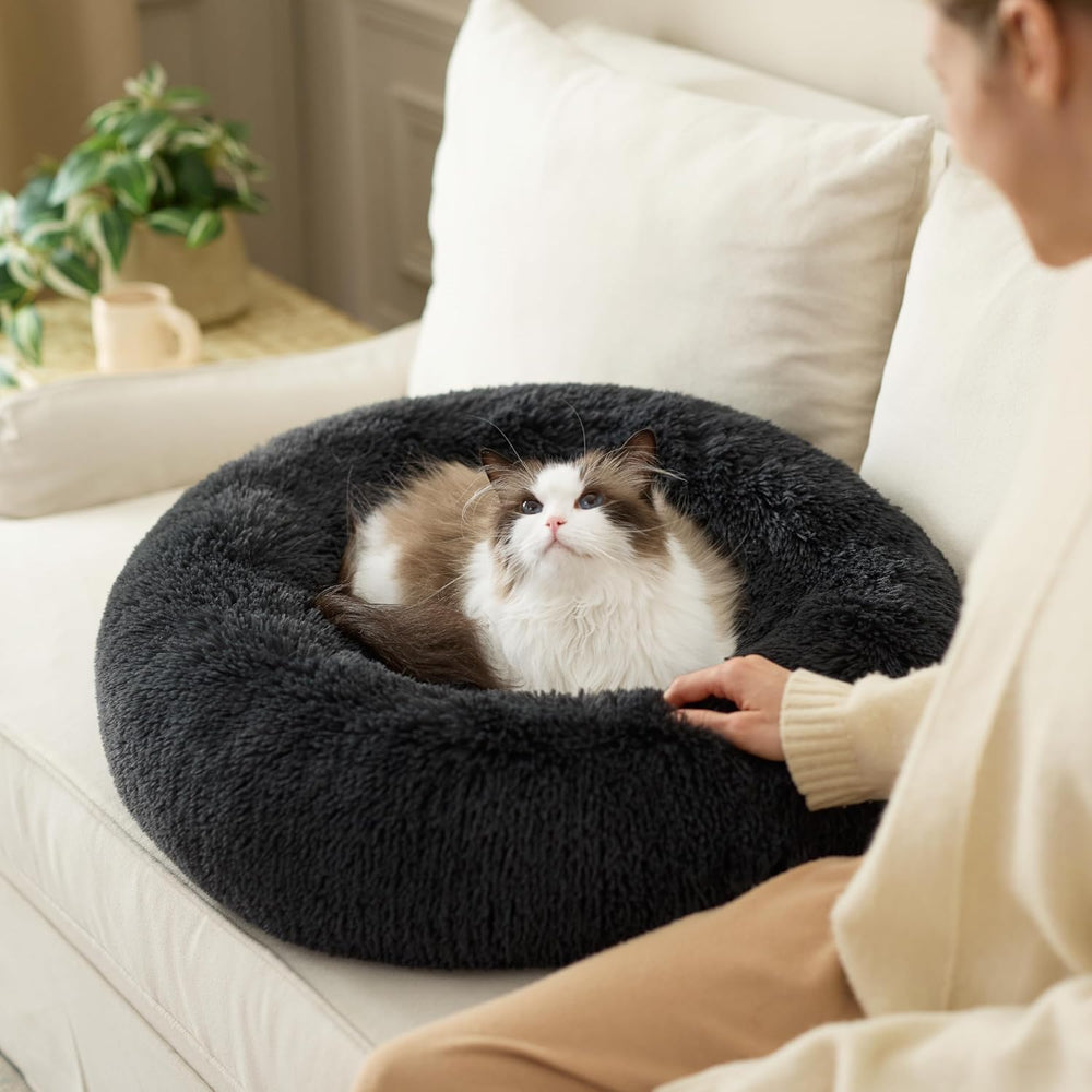 Lits et Canapés, Couvertures et Meubles, Animaux, Chats, Lits pour chats, Chats - lits, matelas