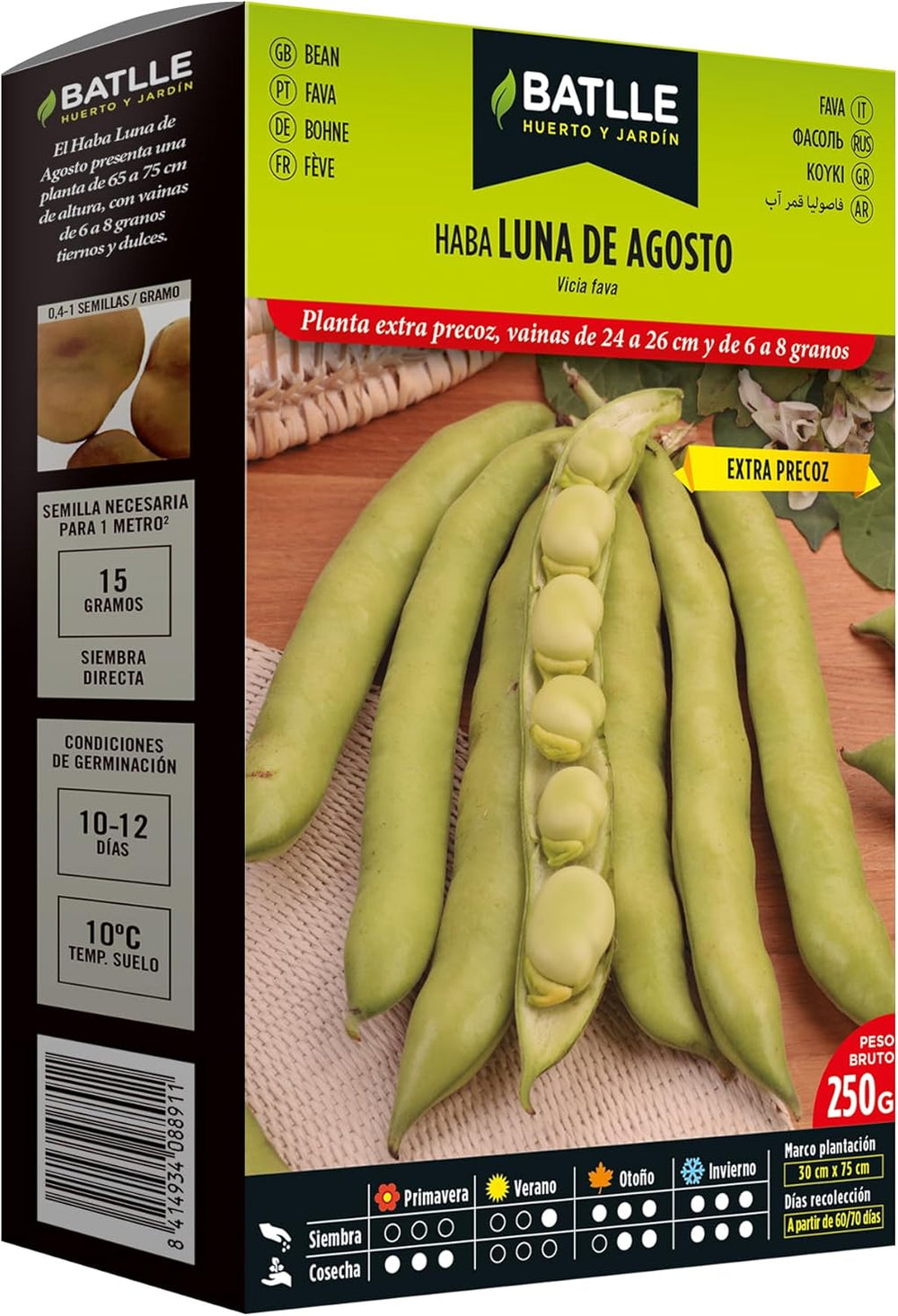 Samen Batlle – Haba Frühe Bohne Carmen, Lang 1 Kg