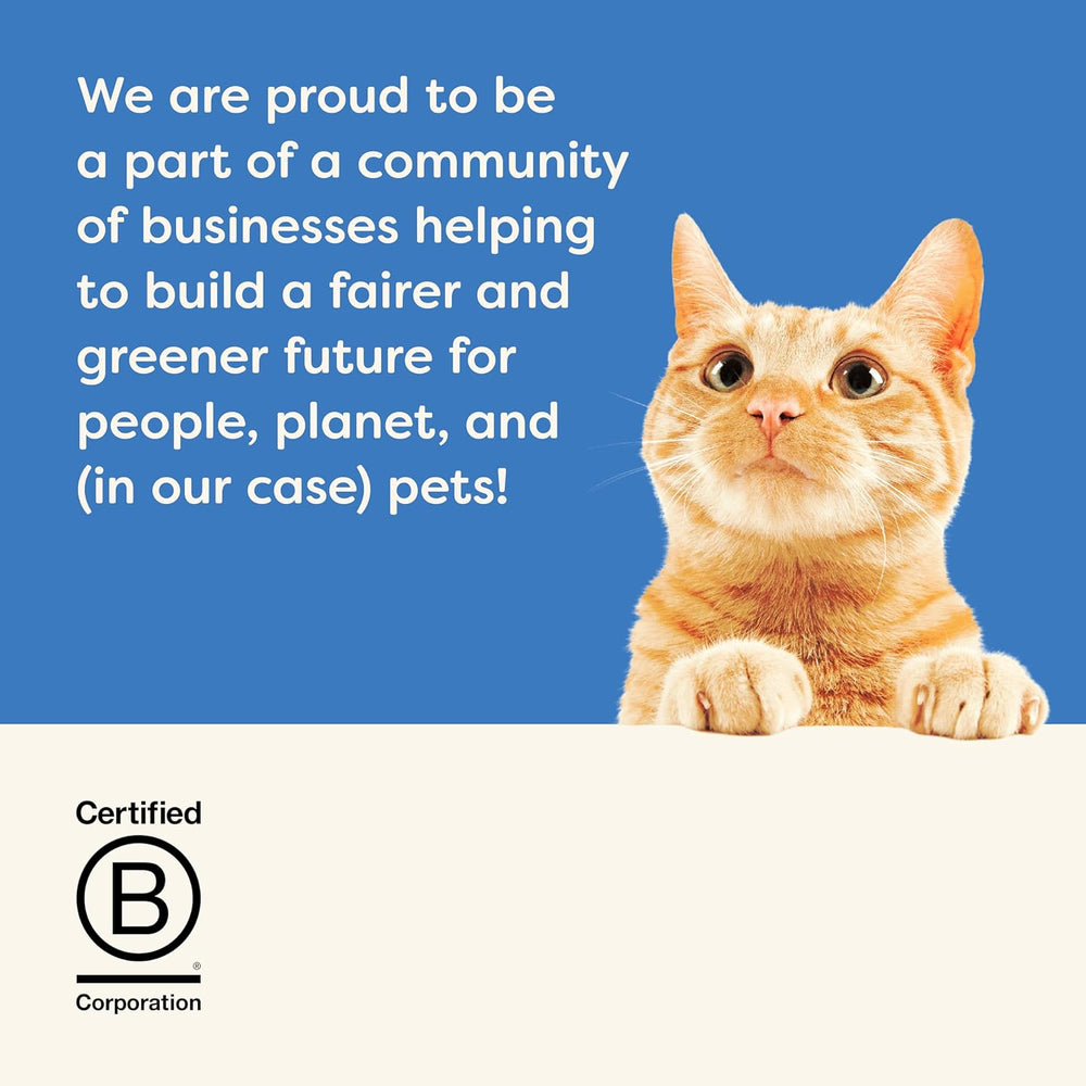 Applaws Cat Pouch Filet de Thon en Gelée 1x(16x70g)