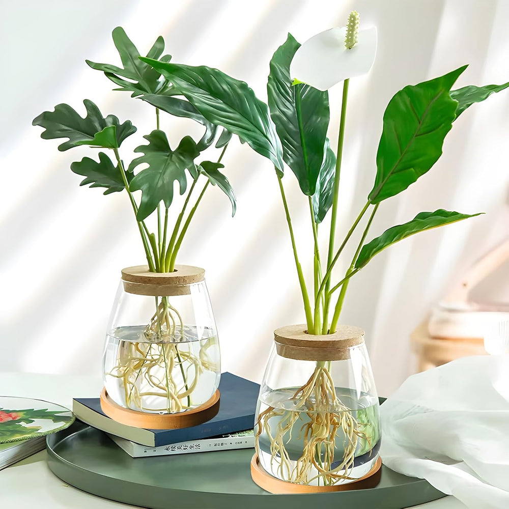 Station de culture de plantes hydroponiques 12x11 cm Vase de graines d'avocat Jardinière en verre Vase en verre hydroponique pour plantes aquatiques ou fleurs Décor de table de bureau 2 pièces