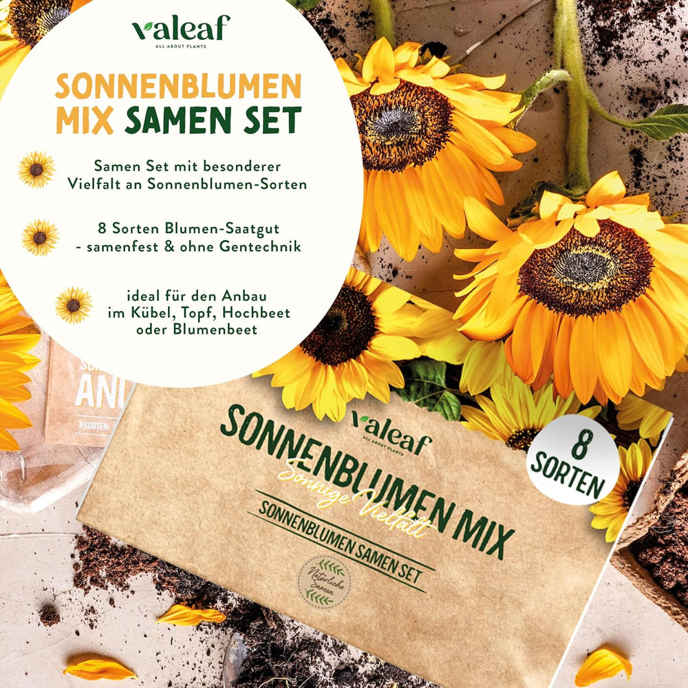 Kit de graines de tournesol - 8 variétés de graines de tournesol - Graines de tournesol dans un kit de plantation pratique - Graines de fleurs d'été, mélange de fleurs sauvages - Graines de fleurs à planter