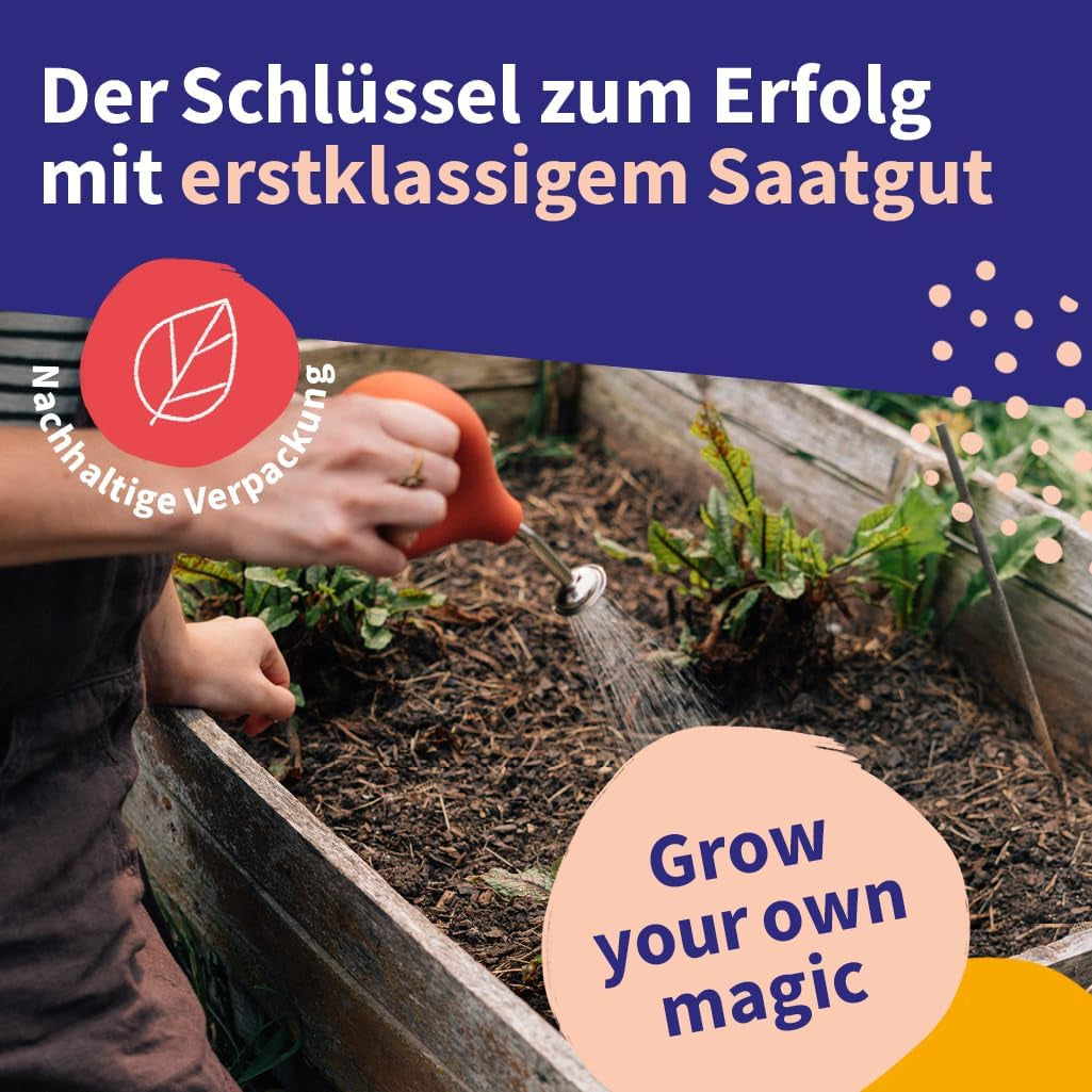 Magic Garden Seeds - Ensemble de graines de plantes médicinales d'Europe centrale - 12 variétés traditionnelles de plantes médicinales populaires - Variétés d'héritage - Accessoires de jardin - Graines de plantes - Cadeau pour les amateurs de jardin