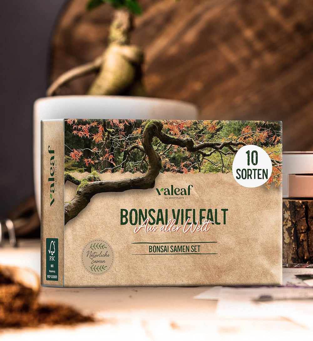 10 graines de bonsaï des 5 continents | Graines d'arbres exotiques pour votre bonsaï unique | Kit de démarrage et passionnés de plantes | Notre coffret bonsaï comme idée cadeau spéciale
