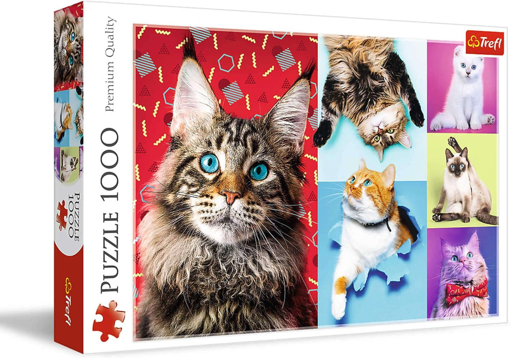 Puzzle "1000" - Portraits de chiens rigolos Puzzle Naty Shop Chats rigolos