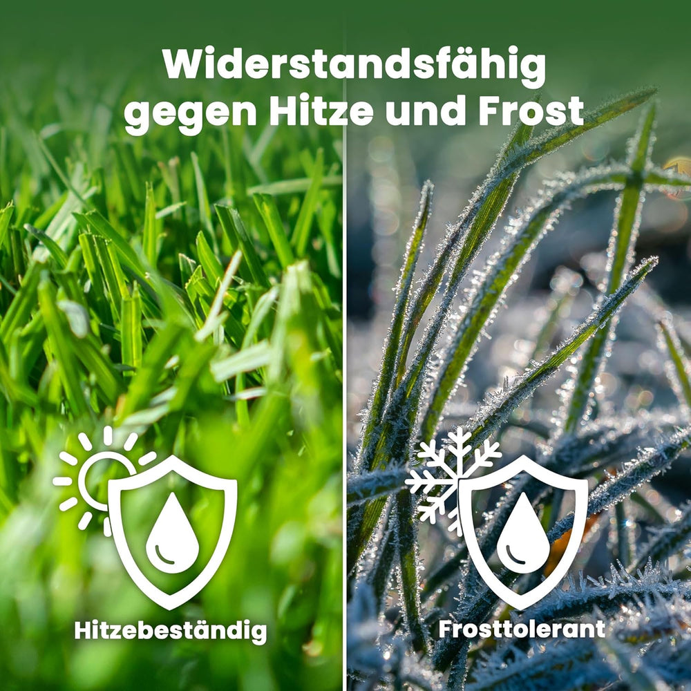 LERAVA® EXPRESS Rasensamen Schnellkeimend Frühjahr (30M²) - Premium Samen Für Trockenrasen & Schattenrasen - Rasensamen Nachsaat Für Lückenlosen Rasen - Grassamen Schnellkeimend - Rasensaat Turbo -