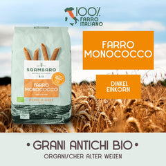 Pâtes Penne Rigate Bio N.91 - 500g Pâtes de blé allégées - Source de fibres et de protéines