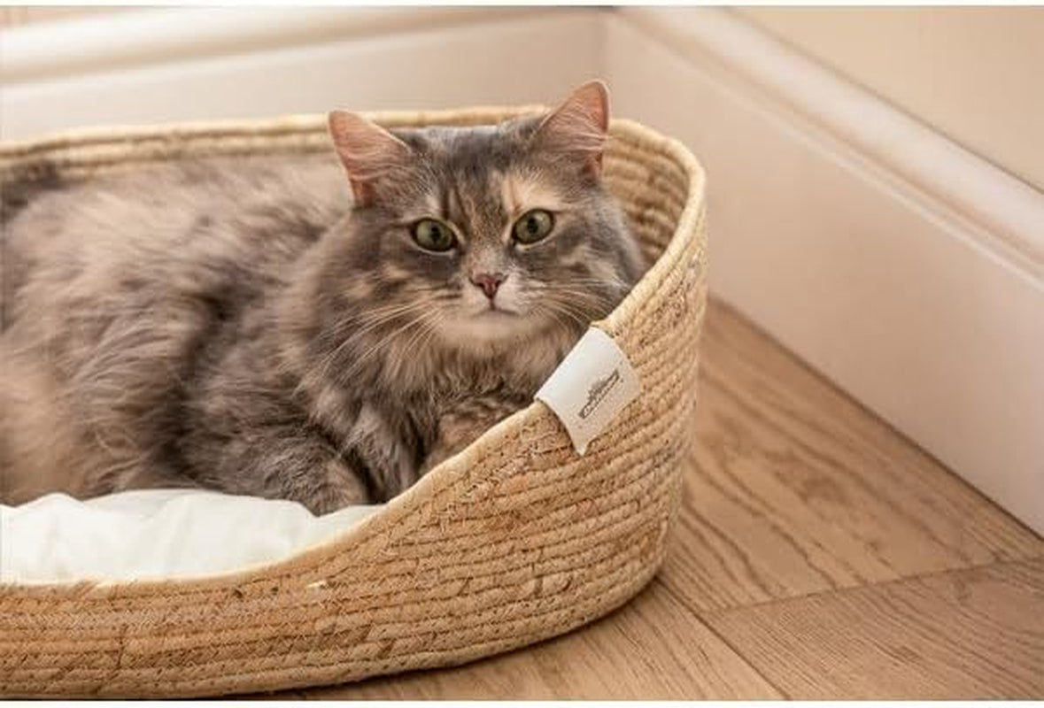 Paturi & Canapele, Pături & Mobilier, Animale de companie, Pisici, Paturi pentru pisici, Pisici - culcusuri, saltele