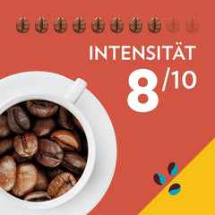 Lavazza, Tales of Roma, grains de café, idéal pour les machines à café Espresso, avec des notes aromatiques de noisette et de chocolat noir, Arabica et Robusta, 250 grammes Café Naty Shop