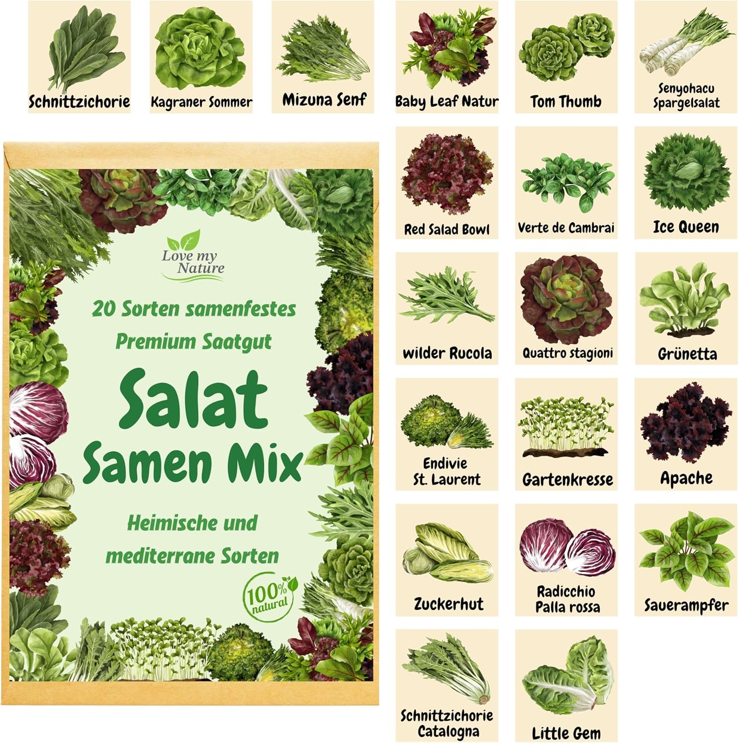 Mélange de graines de salade – Ensemble de 20 variétés – Salades de récolte, de coupe et d'hiver rapides – 100 % naturelles – Sans stimulants de croissance – Emballé avec amour – Comprend des instructions et un étiquetage individuel