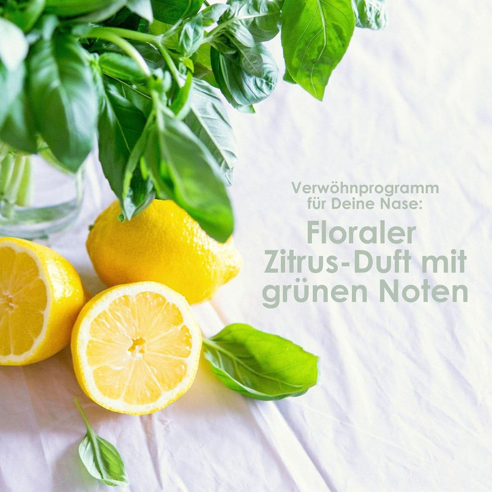 Jean & Len Shampoing hydratant Aloe Vera & Basilic, pour cheveux très secs, 300 ml Douche et bain Naty Shop