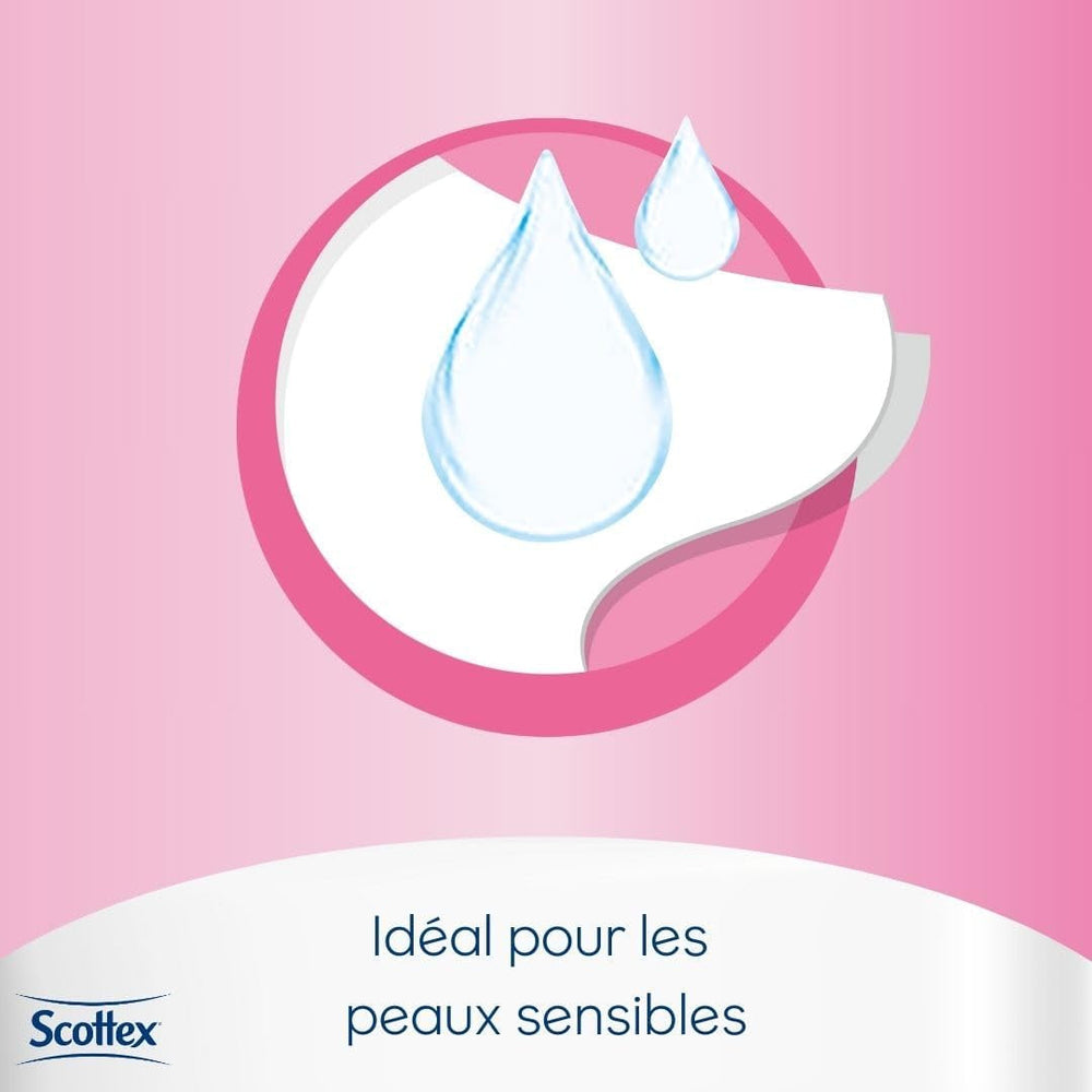 Papier toilette humide sensible, 38 services (38 services X 12 paquets, 456 services au total)