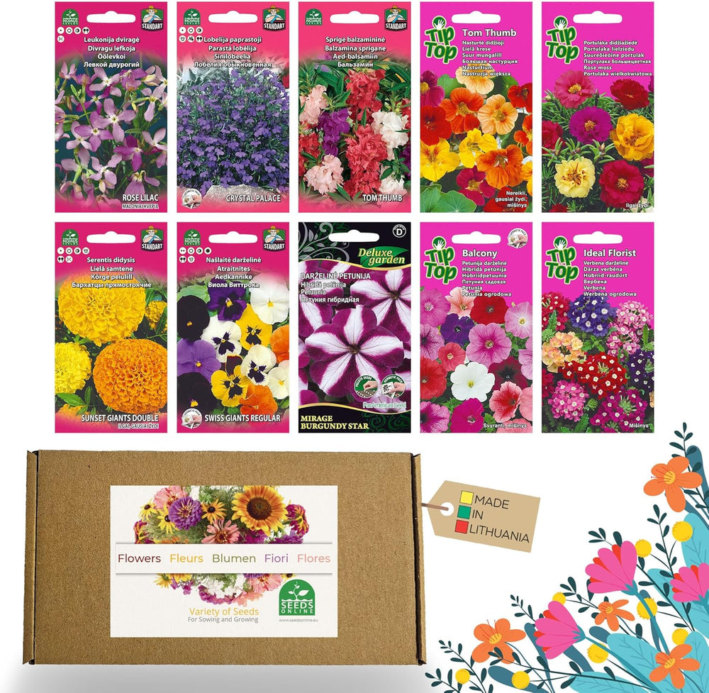 Nojus Lot de graines de fleurs – 10 variétés de graines de fleurs – Graines de fleurs de balcon – Graines de plantes colorées – 10 paquets – Graines de fleurs sauvages – Sachets de graines de fleurs – Cadeau idéal de graines de fleurs