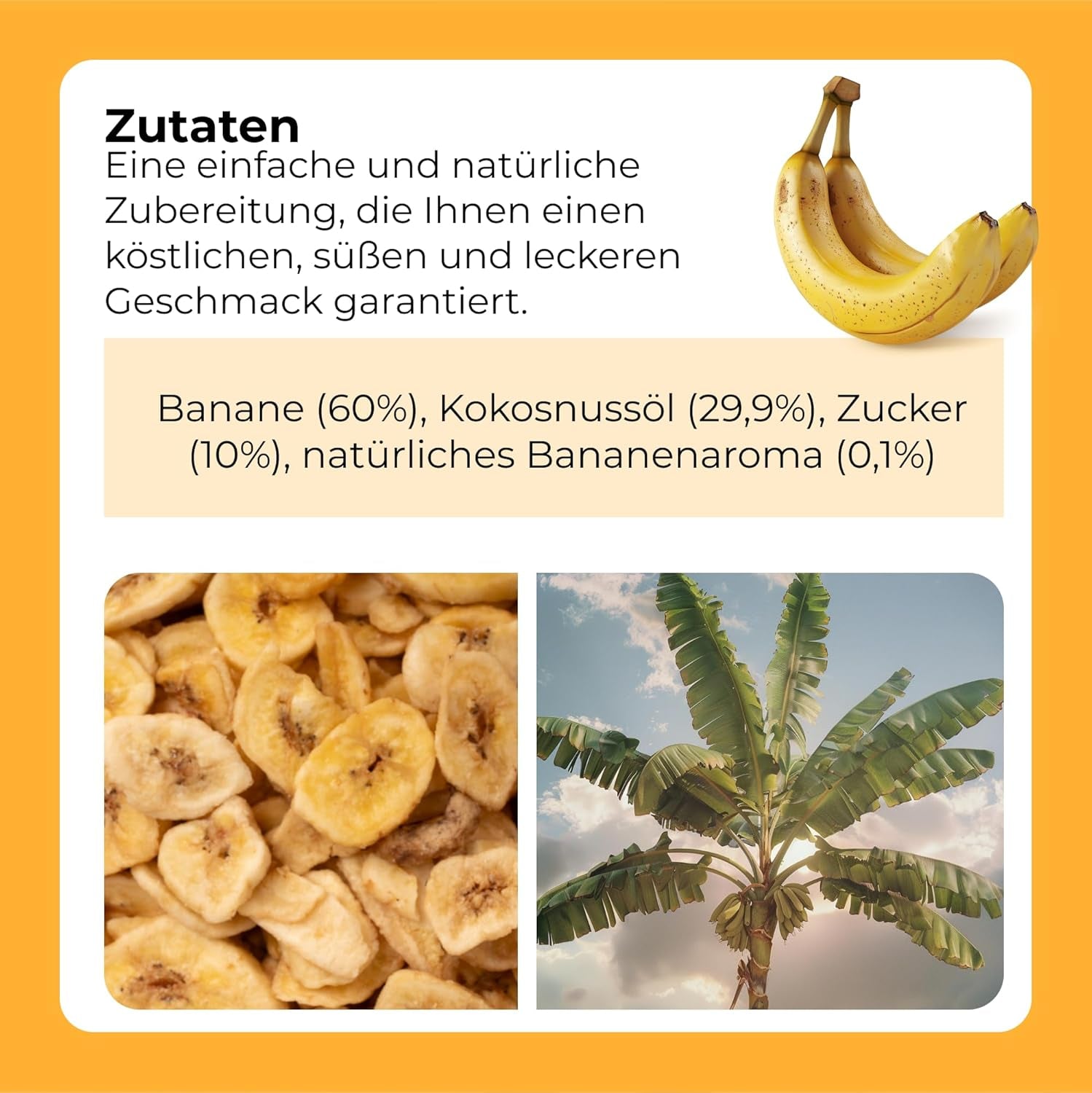 Chips de banane 1 kg | Tranches croustillantes de chips de banane aux fruits secs | collation saine au goût délicieux | Produits déshydratés Naty Shop