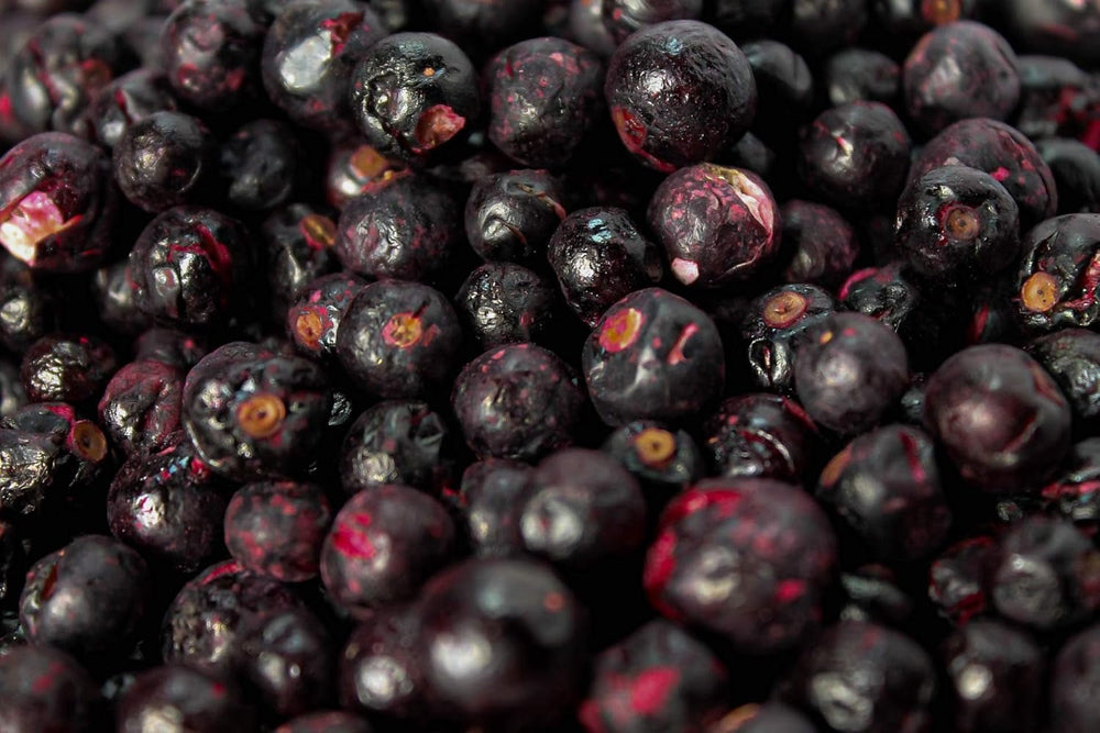 Cassis lyophilisés 250g - Fruits lyophilisés - Fruits secs lyophilisés - Cassis séchés pour pâtisserie, muesli, décoration gâteaux, desserts Produits déshydratés Naty Shop