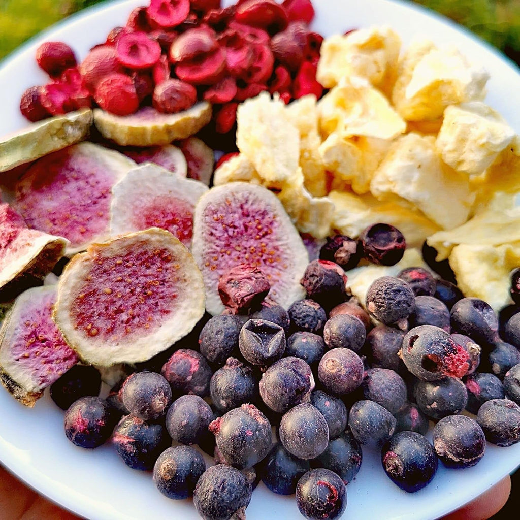 Coacăze negre liofilizate | Coacăze uscate 100% naturale | Fără zahăr adăugat Dulciuri liofilizate sănătoase | Fructe liofilizate Fructe liofilizate Produse deshidratate Naty Shop