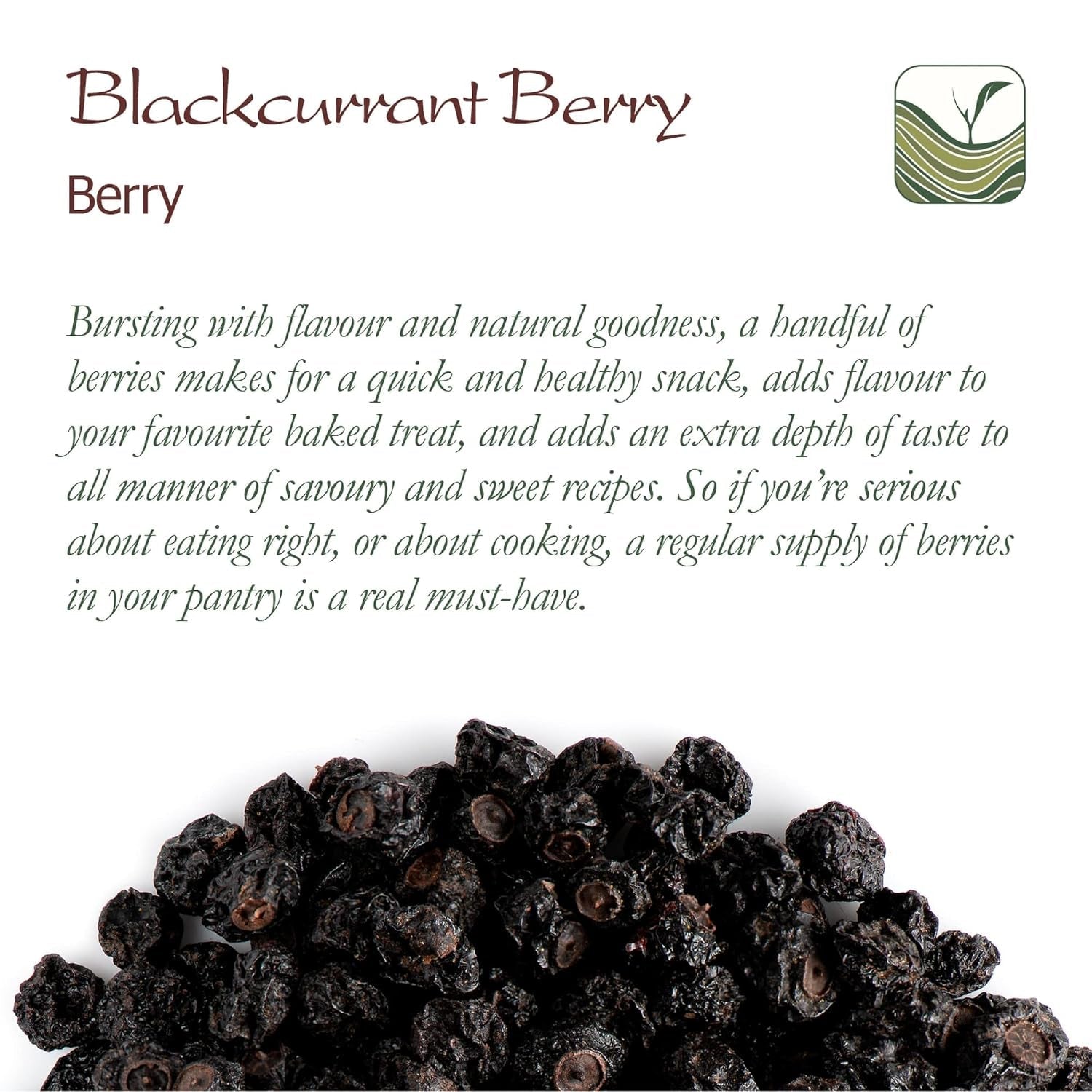 Cassis bio non sucré - Groseilles séchées Baies fruitées - idéales pour la pâtisserie Groseilles Framboises Thé Cassis Cassis Noirs séchés Produits déshydratés Naty Shop