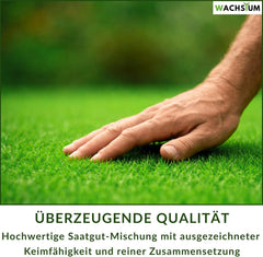 Rasensamen Schnellkeimend 0,5 Kg – Frühjahr Und Sommer Premium Grassamen Nachsaat, Dichter Strapazierfähiger Rasen, Mähroboter Geeignet – Kräftiges Wachstum (Bis 20 M²), RSM Qualität,