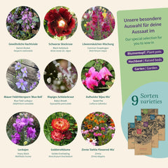 Magic Garden Seeds - Ensemble de graines de fleurs nostalgiques - 9 fleurs d'été traditionnelles dans un style de jardin rustique - Parfumées, colorées et nostalgiques - Idée cadeau pour les amateurs de jardin