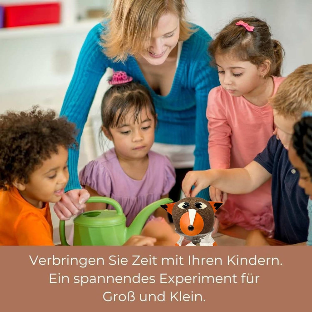 Bada Bing Graskopf 4er Set incl. Wasserbehälter Waldtiere DIY Tiere – Rasenkopf Tierkopf mit Rasensamen – Experiment für Kinder – Spaß mit Lerneffekt – Geschenk Mitbringsel Kindergeburtstag Mitgebsel