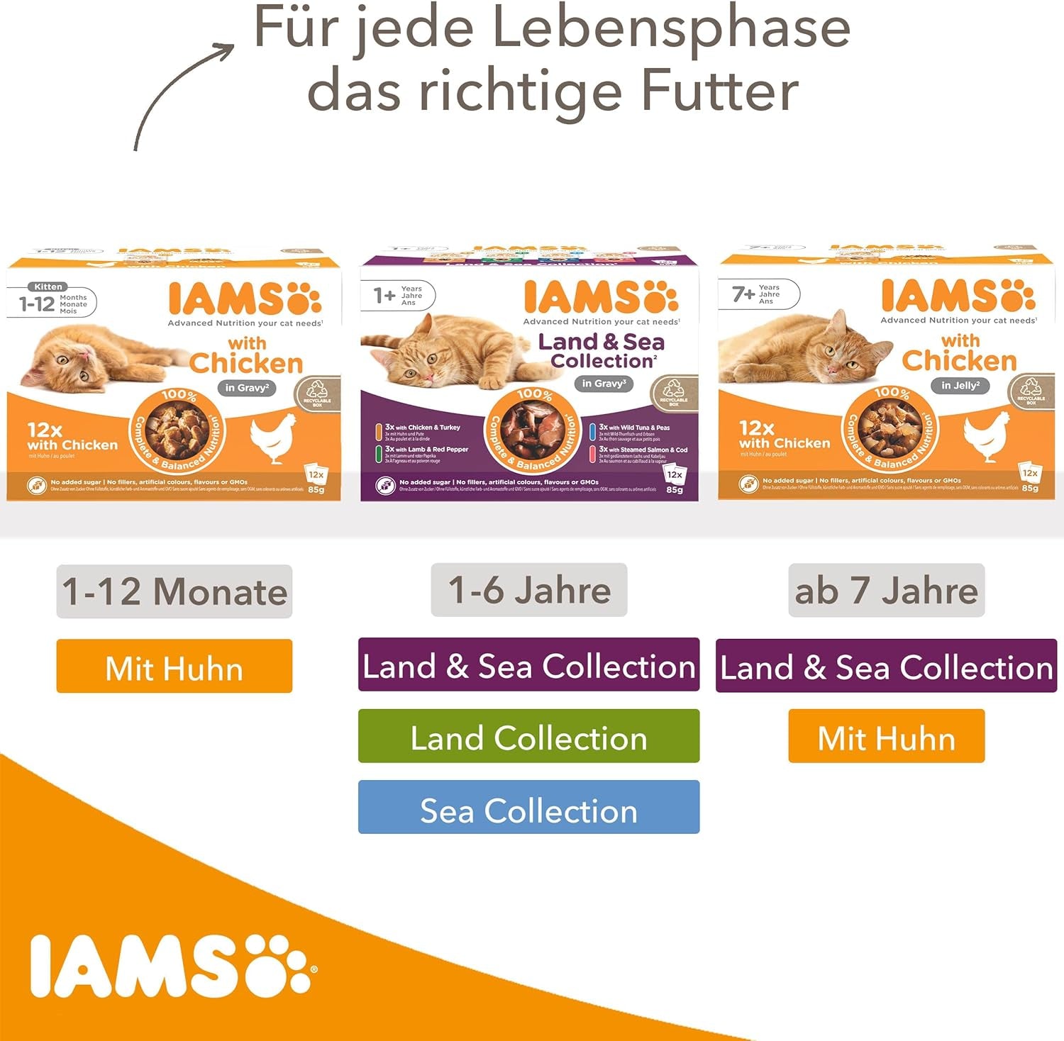 IAMS Delights Kitten Nassfutter - Multipack Katzenfutter mit Hunn in Sauce, Futter de haute qualité pour les enfants de 1 à 12 mois, 12 x 85 g