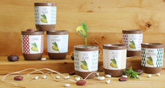 Feel Green Message Bean, Naturdose Mit Lasergravierter Glücksbohne"Danke", Nachhaltige Geschenkidee, 100% Eco Friendly, Anzuchtset, Made in Austria