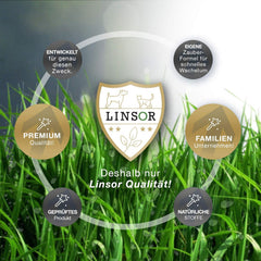 Universalrasen, 1Kg Für 25 M², Rasenmischung, Grassamen Sattgrün, Frühjahr Aussaat