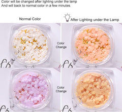 6 boîtes de breloques d'art de fleur 3D, strass de fleur en acrylique avec ornements en or et perles d'argent, bijoux en perles d'argent, accessoires de décoration pour les femmes, les femmes, conception de bijoux DIY, décoration de base…