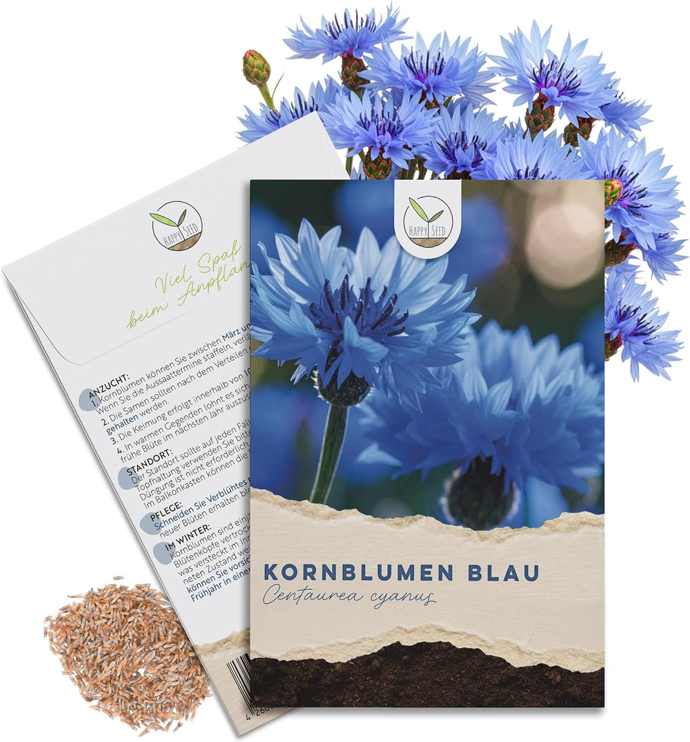Kornblumen Samen (Centaurea Cyanus) - Wunderschön Leuchtende Blumen Mit Langer Blütezeit, Kleinwüchsig - Ideal Für Den Balkonkasten (Mini Mix, 1000 Korn, 50 Cm)