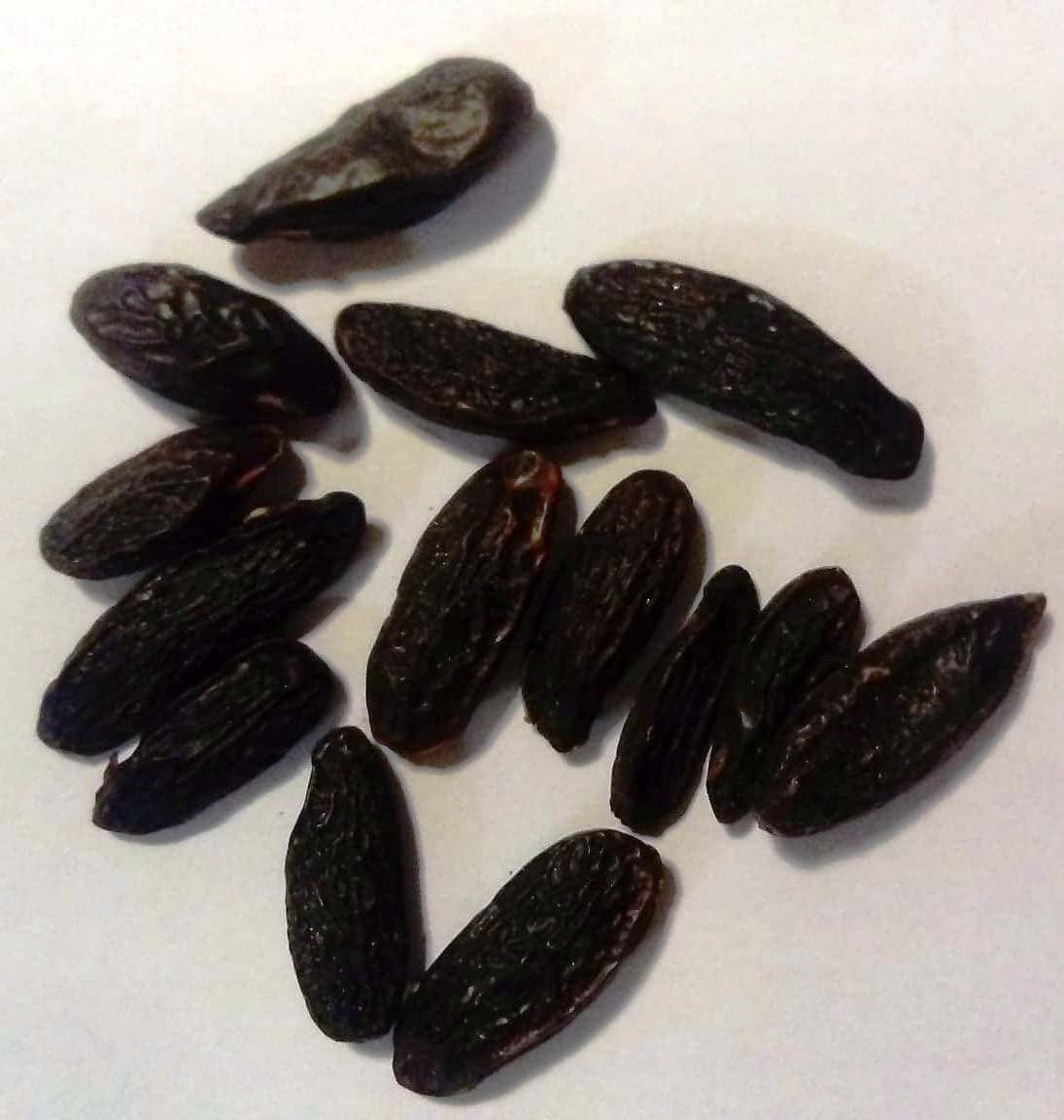 Fèves Tonka entières 100 g - Fèves Tonka de qualité supérieure du Brésil, Fèves Tonka à gratter, Épices de la forêt tropicale, Saveur : Vanille et Amande