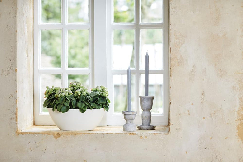 elho Brussels Oval 36 - Ghiveci de flori de interior - Ø 36,0 x Î 13,1 cm - Alb/Alb