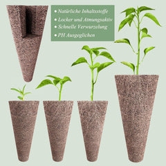 125 éponges de culture, 50 éponges de culture de remplacement, accessoires pour système de démarrage hydroponique avec 50 étiquettes, 12 capuchons isolants, 12 paniers de plantes, 1 pince à épiler