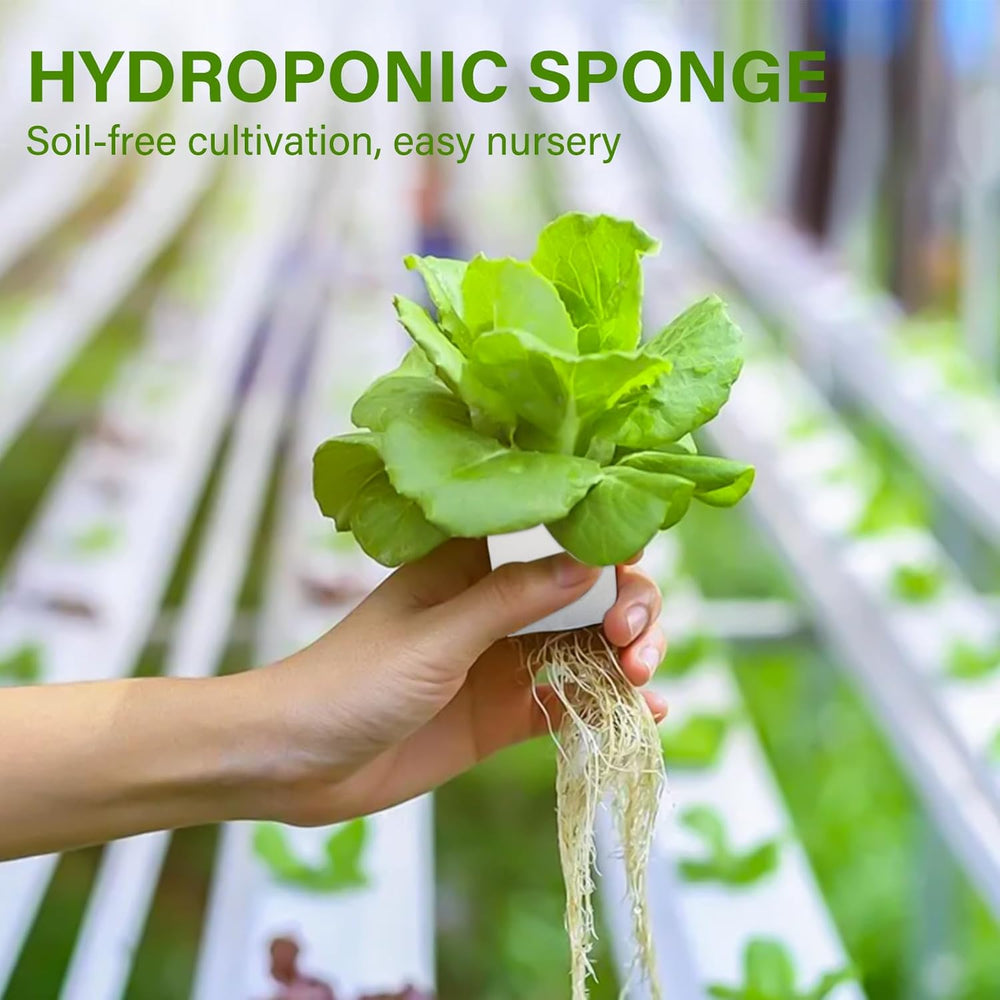 Laine de roche, laine de roche de propagation, 2 pièces, éponge hydroponique, 200 pièces après coupe - Alternative pour serre, germination des graines et légumes domestiques