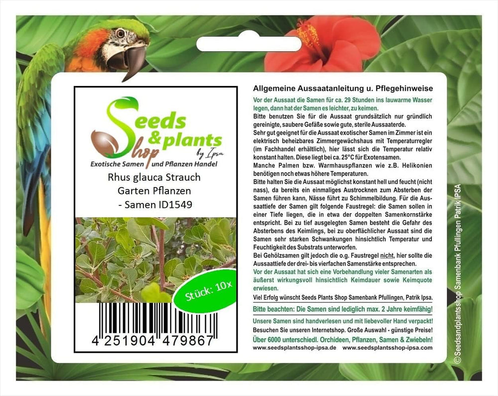 Stk - 10X Rhus Glauca Blaue Kuni-Rhus Strauch Garten Pflanzen - Samen ID1549 -