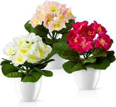 PASCH® Begonie Im Hochglanz-Keramiktopf | Kunstblumen Im Topf | Künstliche Blumen Wie Echt | Fake Blumen | Kunstblumen Wie Echt (Japanische Begonie, 3 Stück, 16Cm)