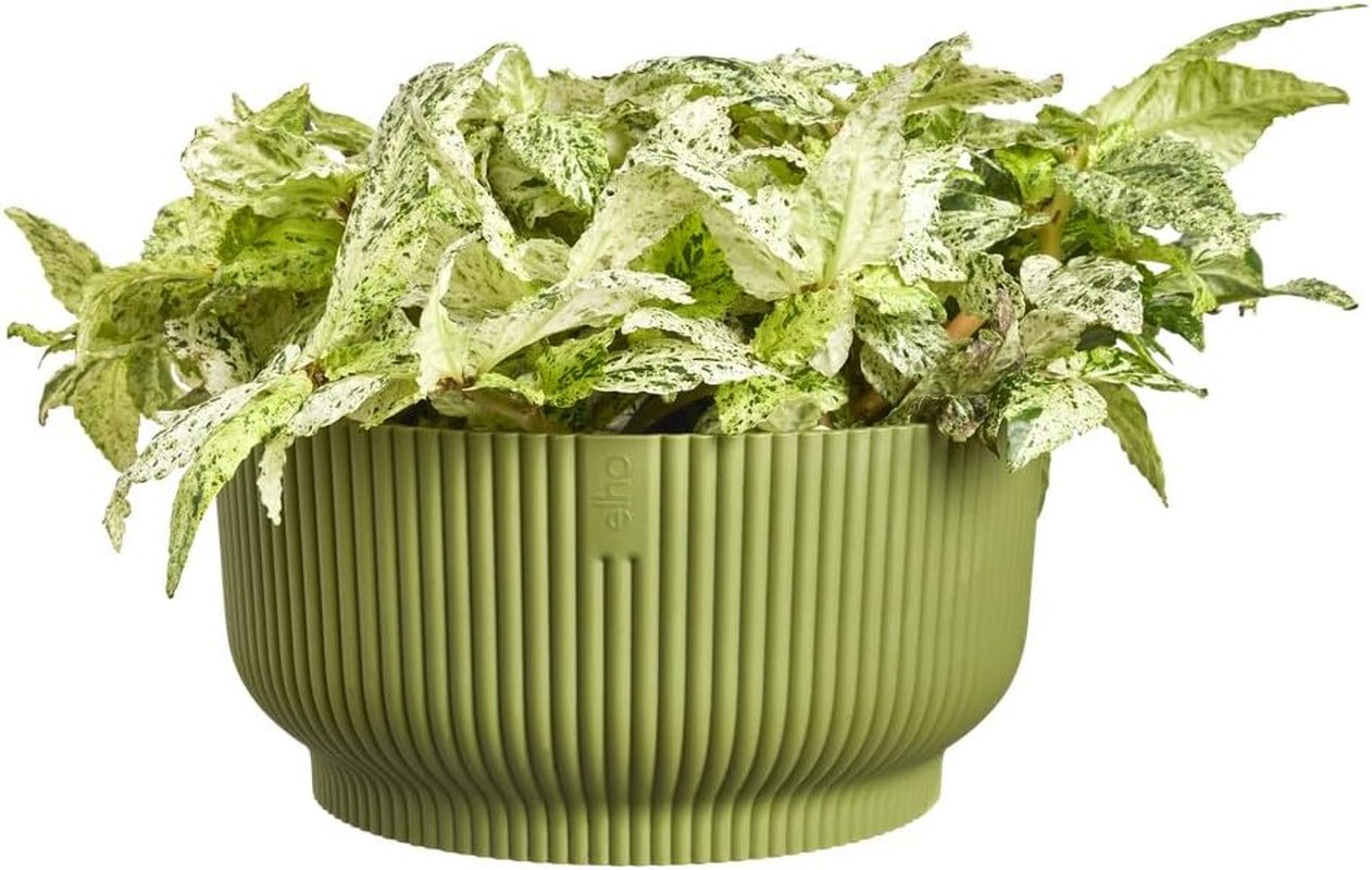 elho Vibes Fold Bowl 25 - Pots de fleurs d'intérieur - 100% plastique recyclé - Ø 24,9 x H 12,1 cm - Vert/Ferngrün
