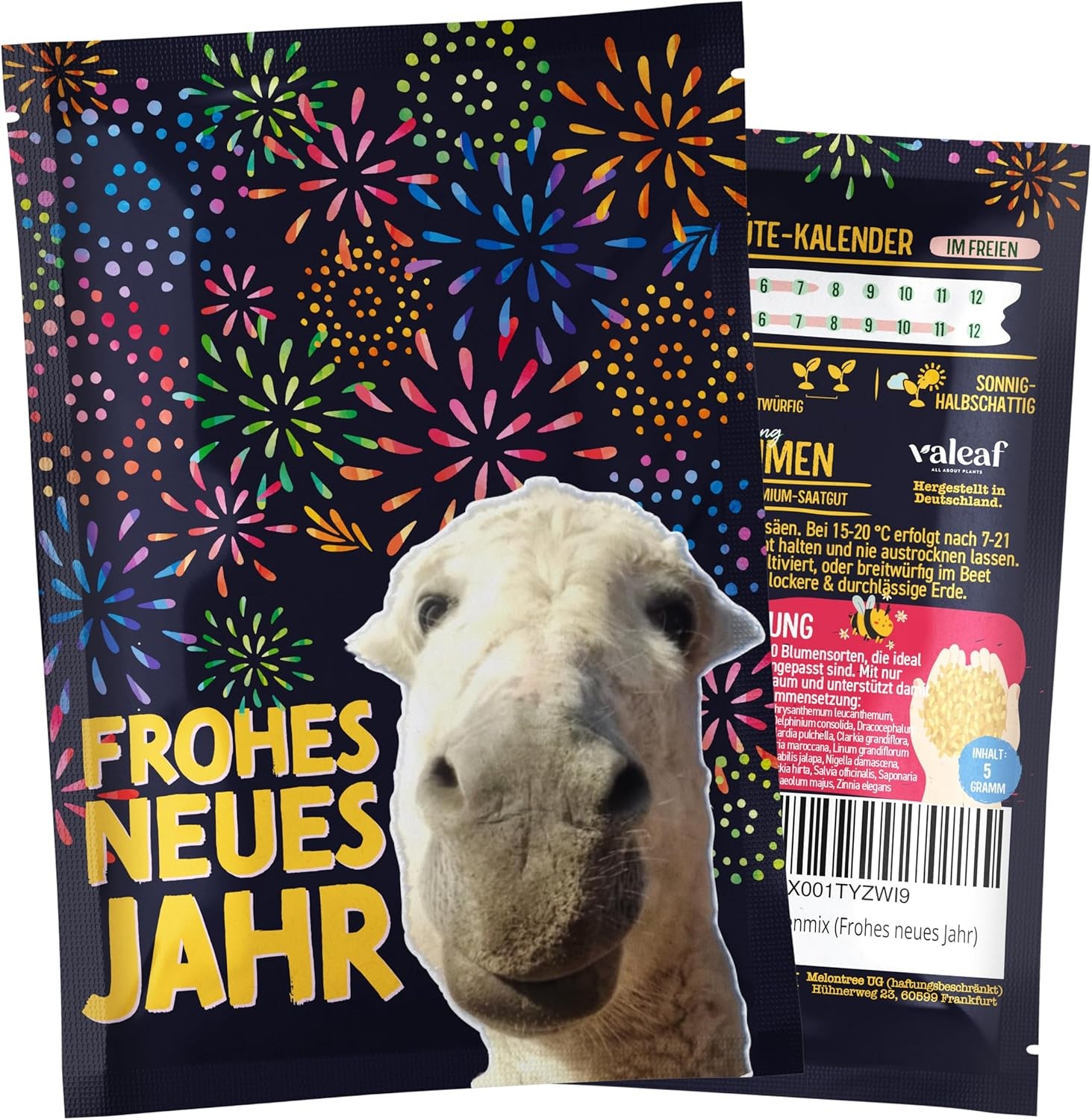 Sapin de Noël 2030 - Graines d'arbre de Noël Nordmann pour planter un sapin de Noël, idéales comme cadeau de Noël Secret Santa