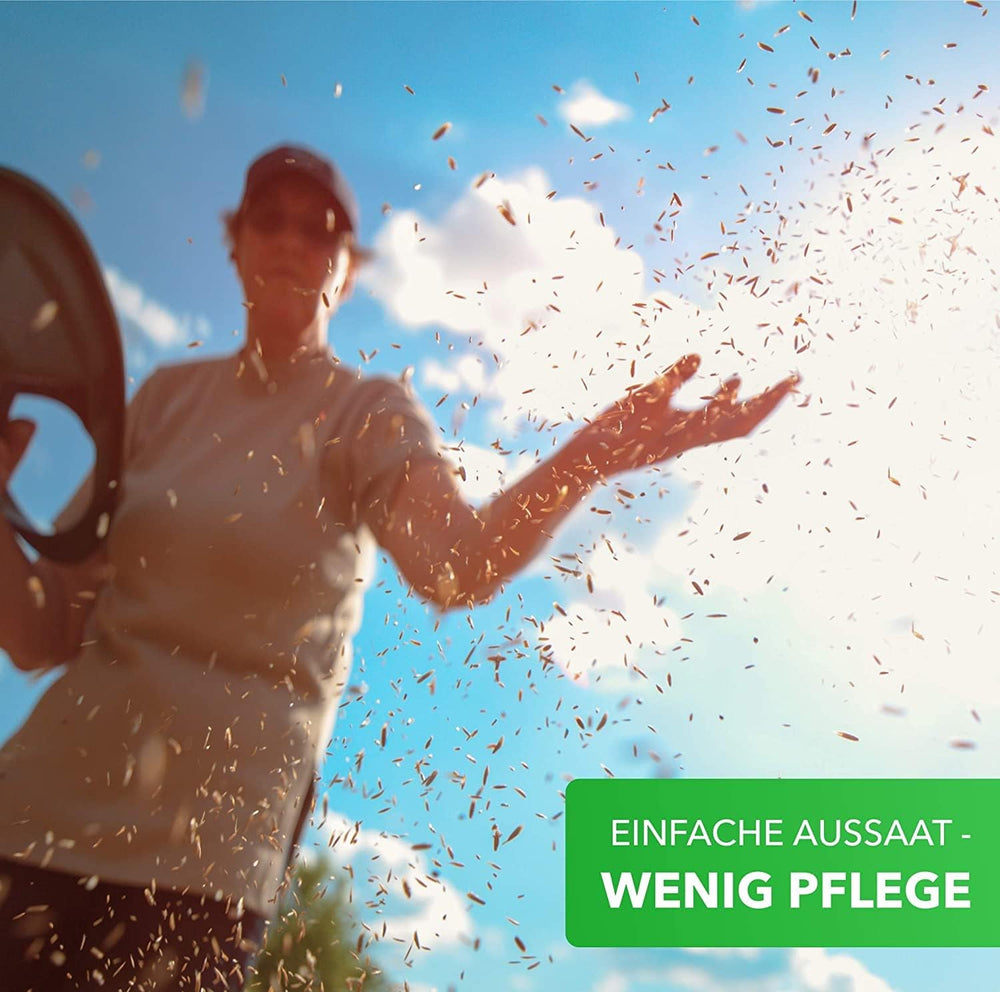 Magie de la Nature 800gr. Blumensamen Mischung - Bienen Paradies - Blumensamen Bienenweide für 150 bis 250 m²