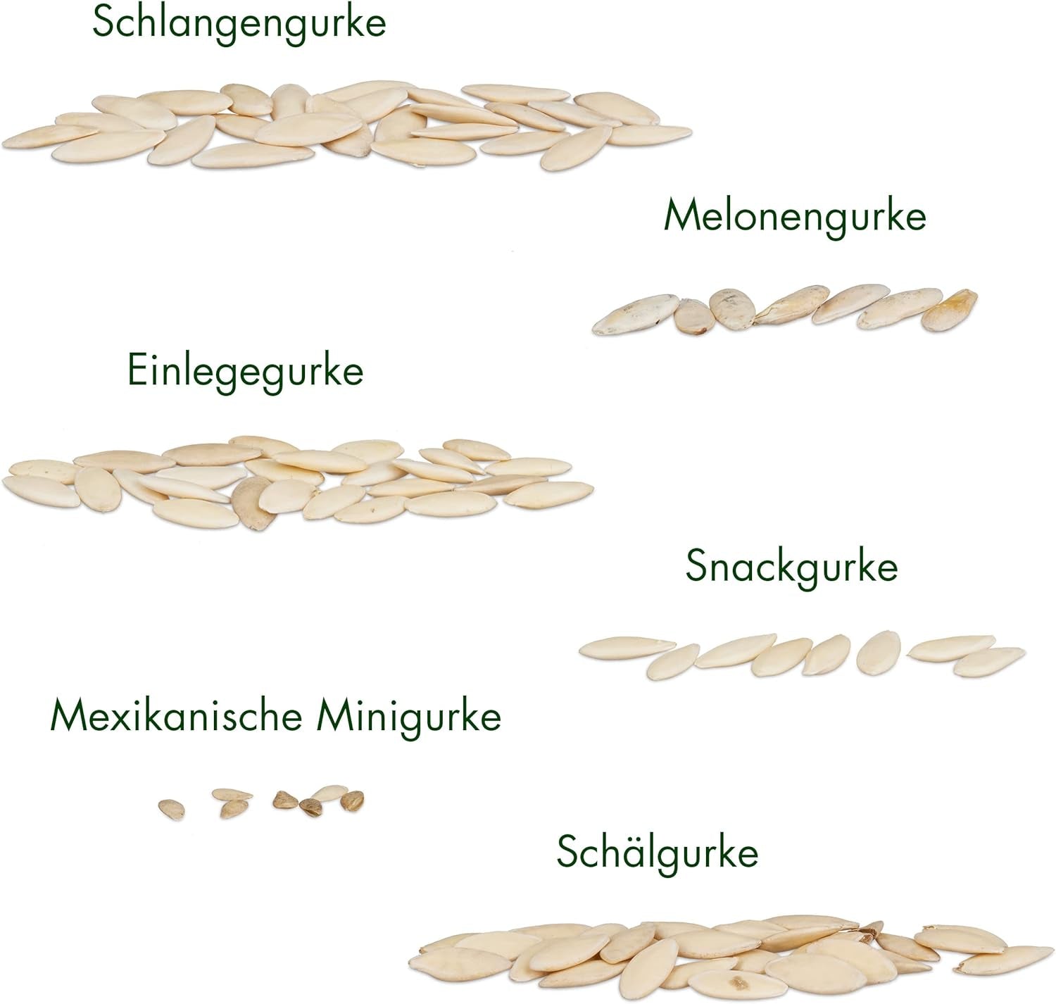 Gurken Samen Set: 6 Sorten Gurken Saatgut Mit Freilandgurken Samen, Einlegegurken Samen, Minigurke Samen – Samen Gemüse Samen, Owngrown Gurke Samen