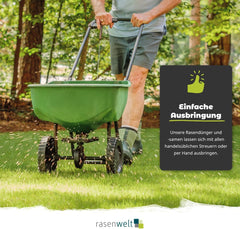 Rasensamen Fairway Nachsaat PS-29 3Kg I Tiefschnittverträgliches Golfrasen Saatgut I Schnellkeimender Nachsaatrasen