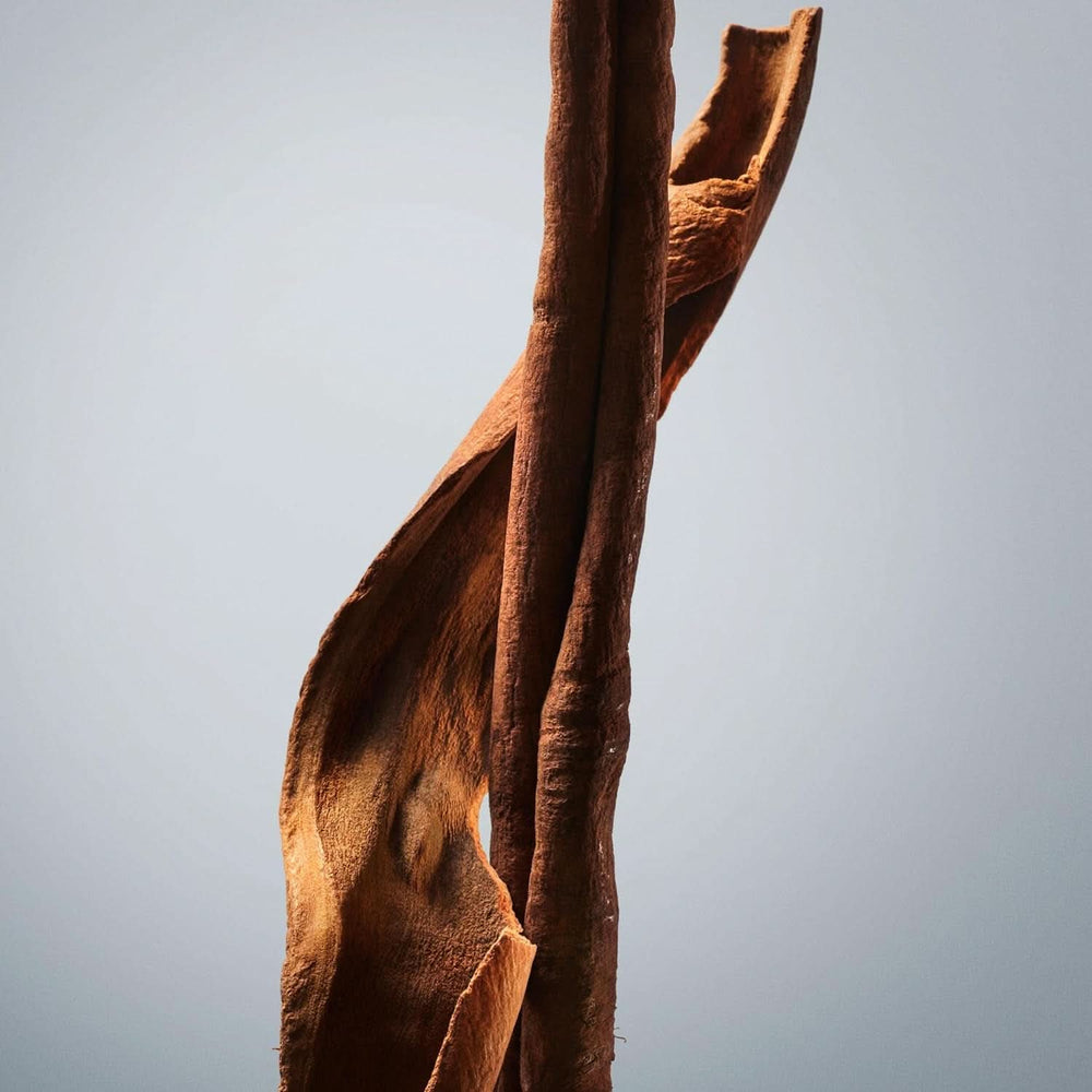 BOSS, gel douche, parfum oriental boisé pour homme aux notes de cannelle et de musc, 150 ml Douche et bain Naty Shop