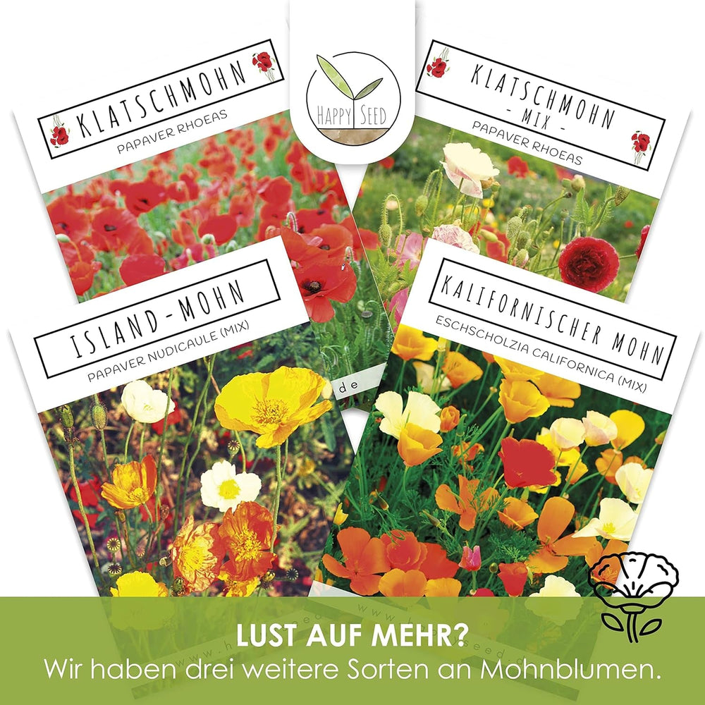 Amestec de semințe de mac californian (Eschscholzia californica) - Maci cu înflorire frumoasă, cu o perioadă lungă de înflorire, pentru o pajiște cu flori colorate (Mac californian)