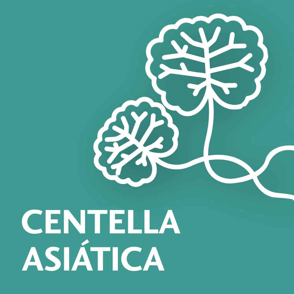 Novartis TROFOLASTIN Elasticité Accessoires de Soin des Mamelons Alimentation et Allaitement Bebe Naty Shop