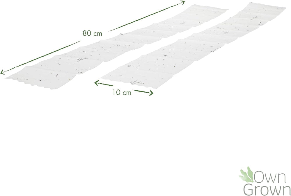 Mélange de fleurs de balcon coloré – 2 tapis de graines de fleurs de balcon de qualité supérieure, faciles à cultiver, fleurs d'été et graines de fleurs sauvages à partir de graines annuelles OwnGrown respectueuses des insectes.