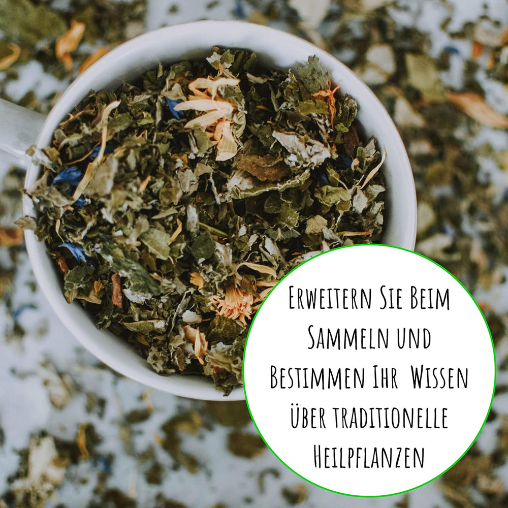 Wilde Apotheke - 50 Traditionelle Heilkräuter Samen - Bienenfreundliche Wildblumenwiese, Wildkräuter Samen Mehrjährig & Regional, Arzneipflanzen Saatgutmischung 30 G