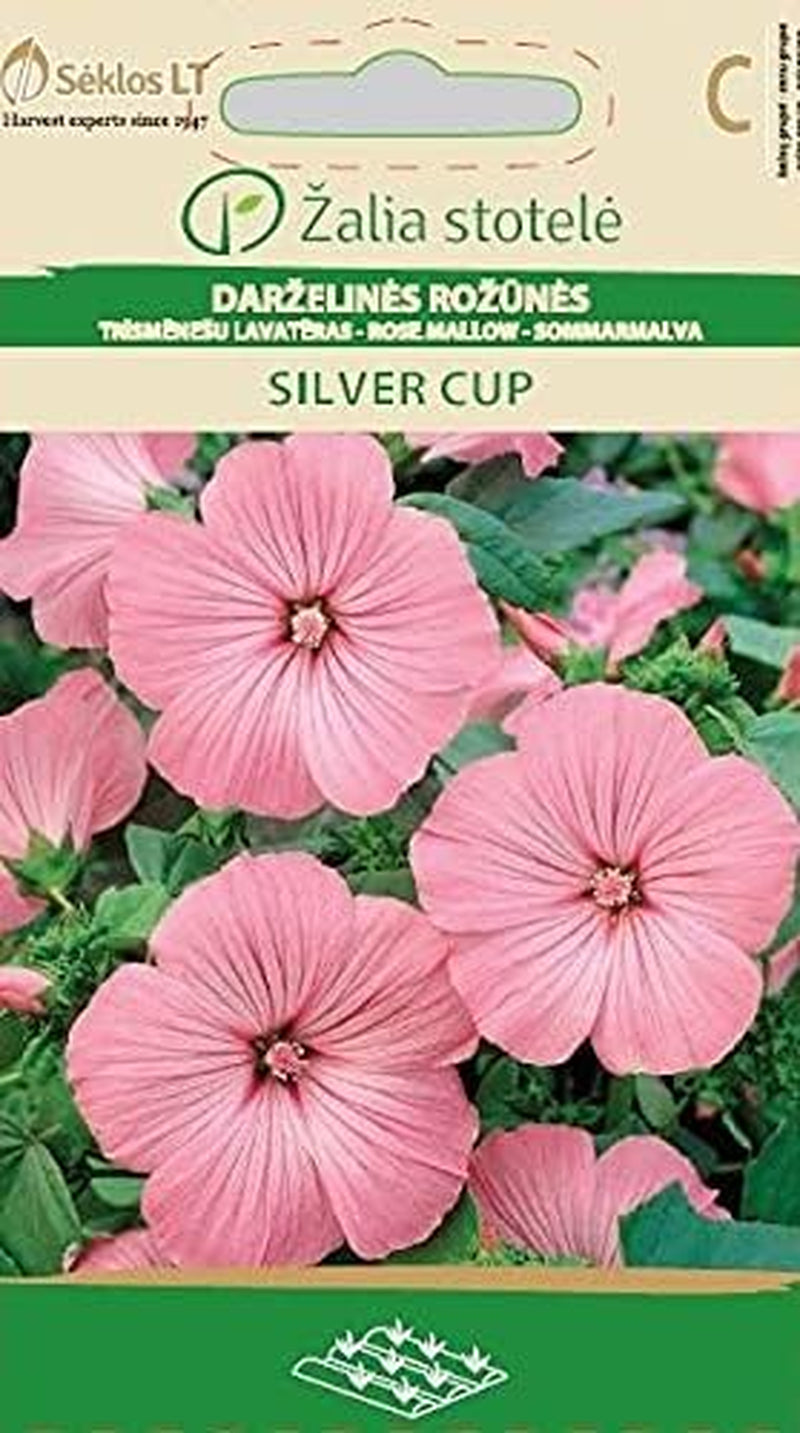BECHERMALVE SILVER CUP | Einjährig Pflanze | Blumensamen | Die Bechermalve Wächst Krautig Bis Buschig | Pflanzensamen | 1 Pack