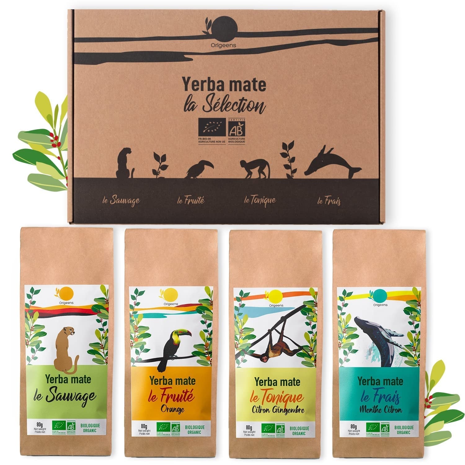 ORIGEENS COFFRET THÉ BIO MATE X4 I Yerba Mate Bio 4X80G I Coffret thé Yerba Mate, idée cadeau