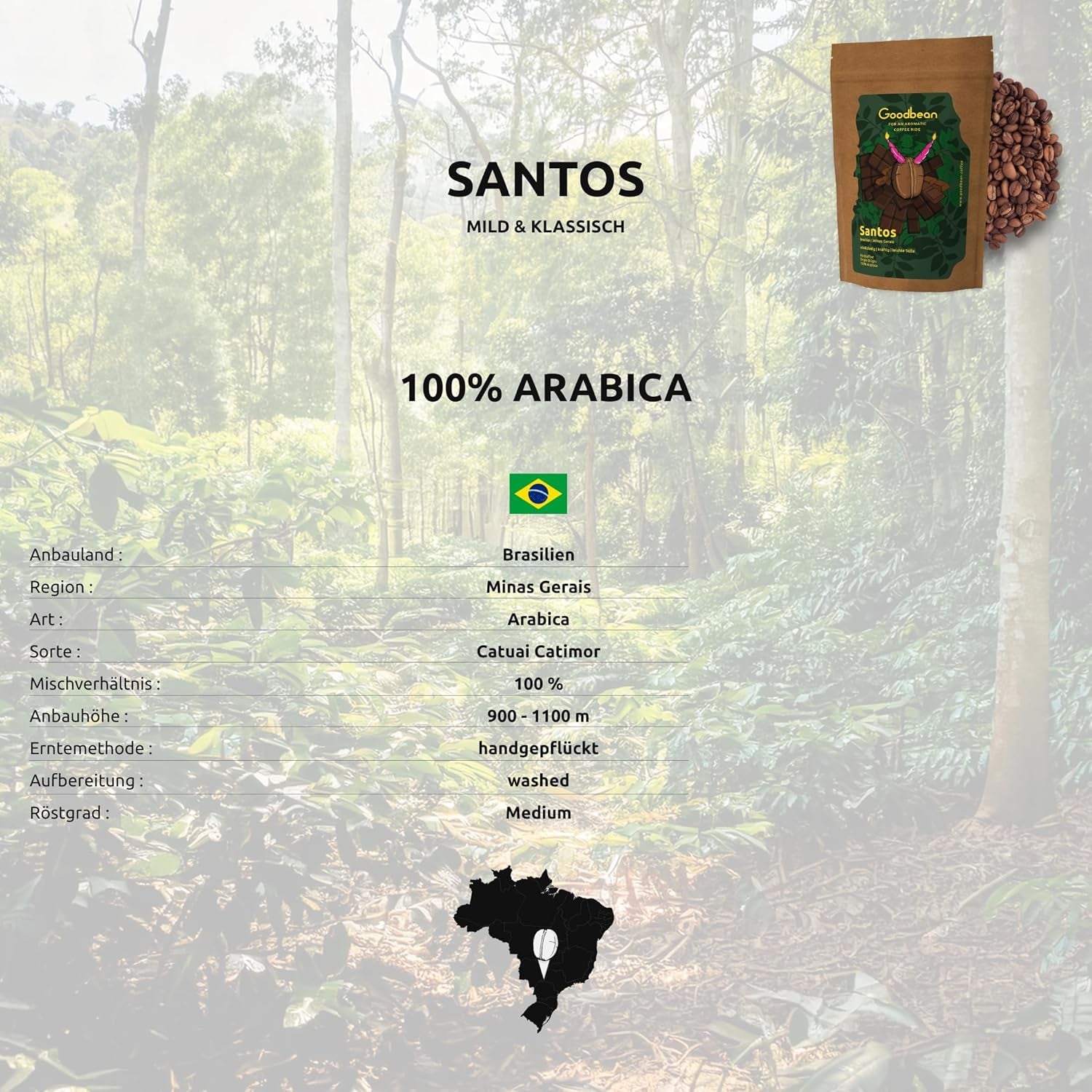 Santos | Café en grains 2500g - 100% Arabica du Brésil | pour expresso, cappuccino ou café filtré fort | Rôti omni | Café classique - l'introduction parfaite au café de spécialité